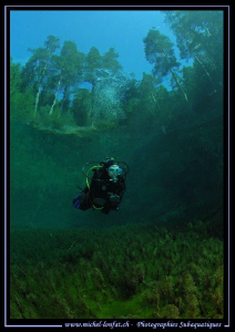 Diving the Fernsteinsee in Austria... :O)... by Michel Lonfat 